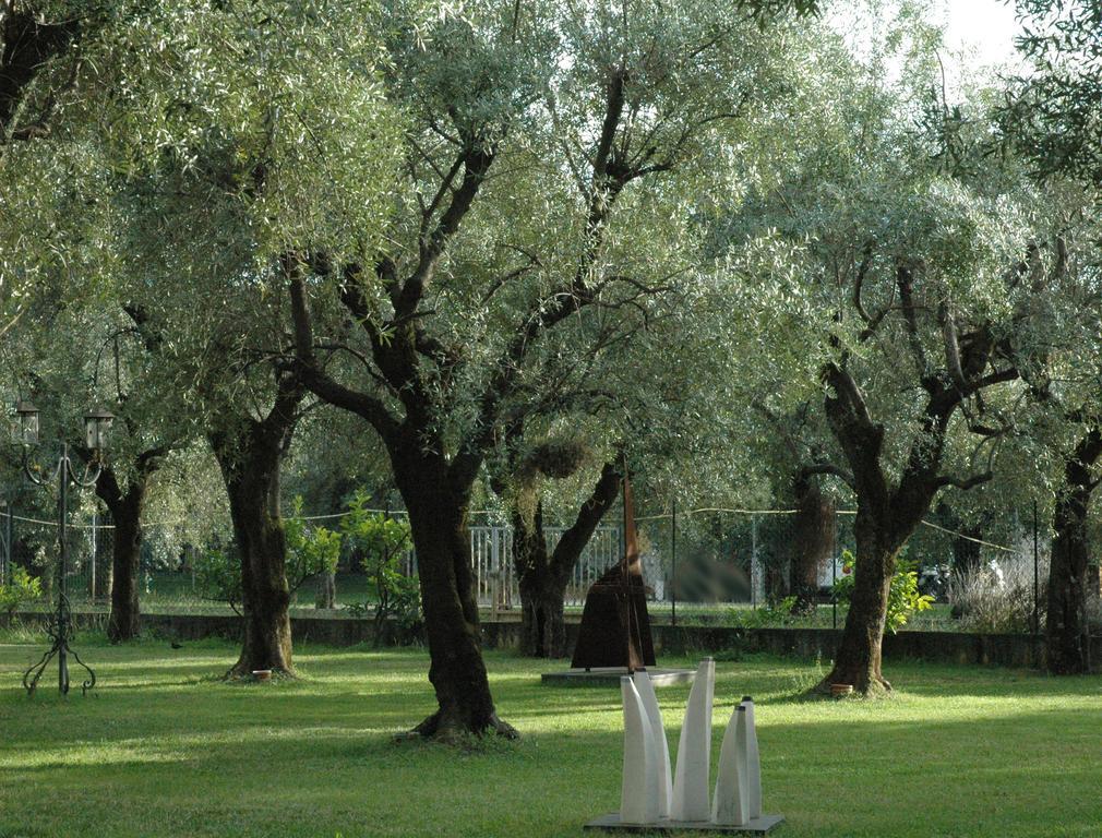 Antico Uliveto Guest House Seravezza Exterior photo