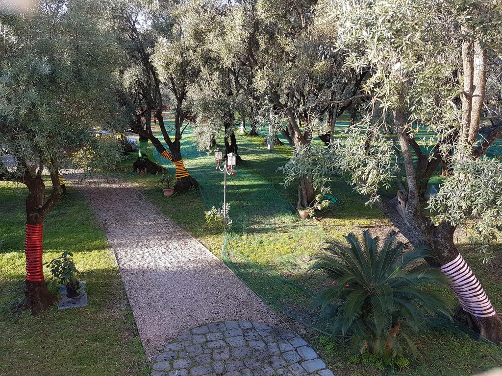 Antico Uliveto Guest House Seravezza Exterior photo
