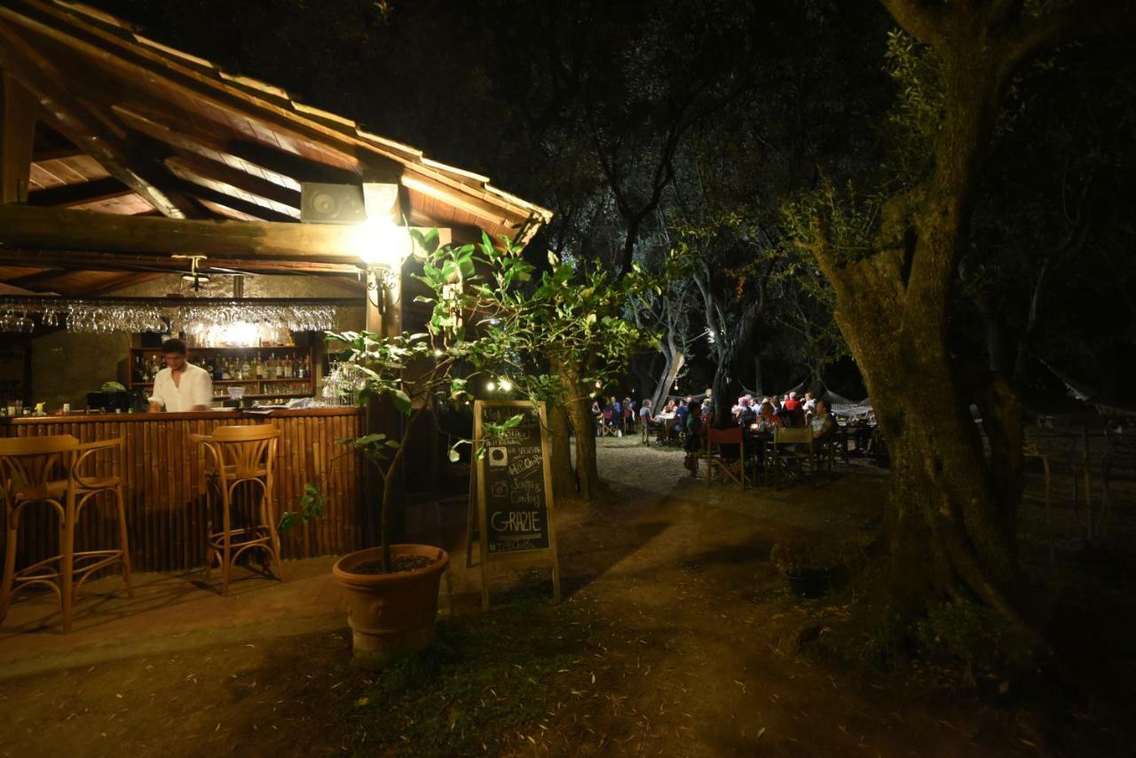 Antico Uliveto Guest House Seravezza Exterior photo