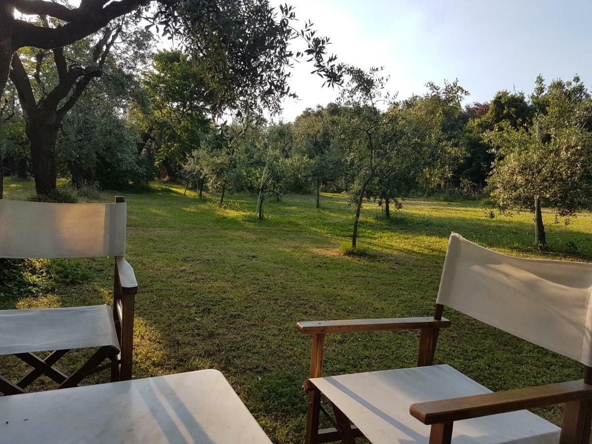Antico Uliveto Guest House Seravezza Exterior photo