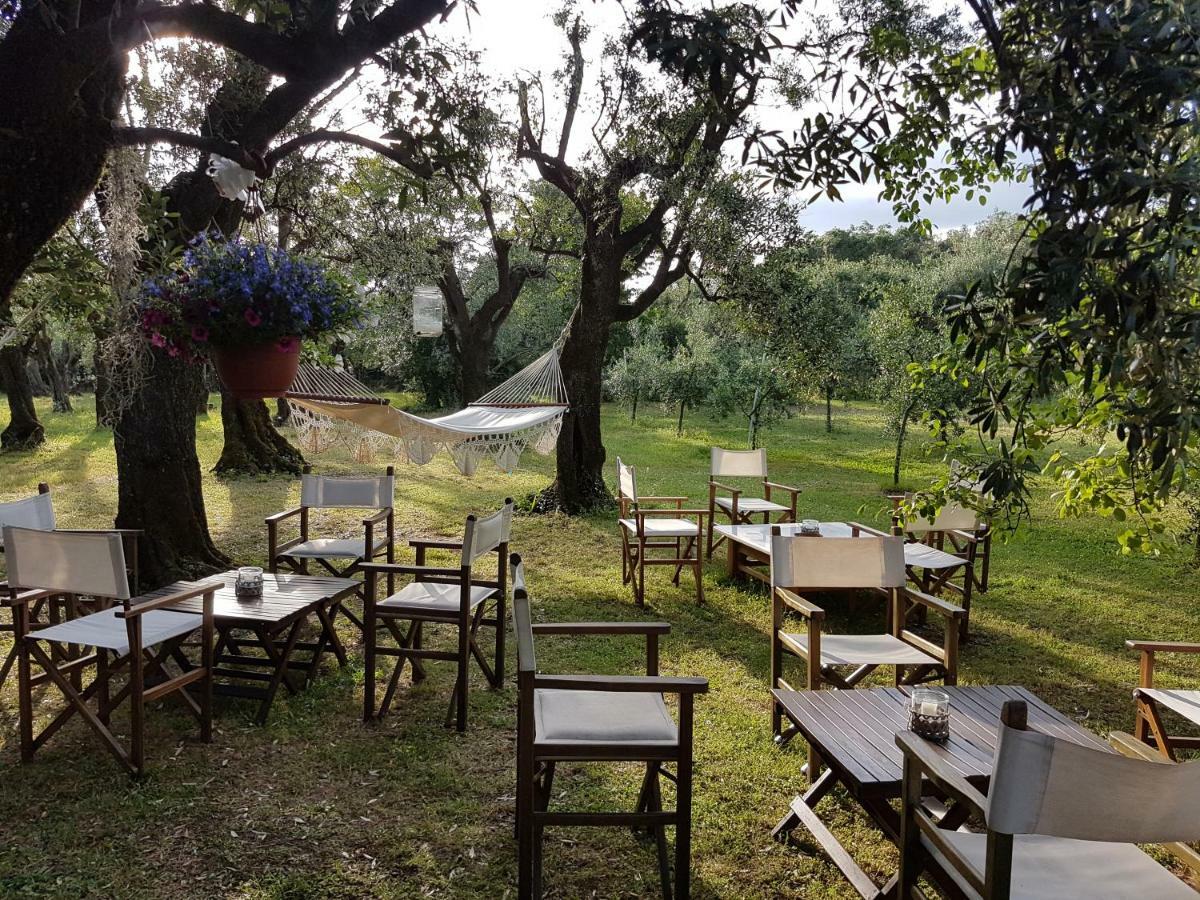 Antico Uliveto Guest House Seravezza Exterior photo
